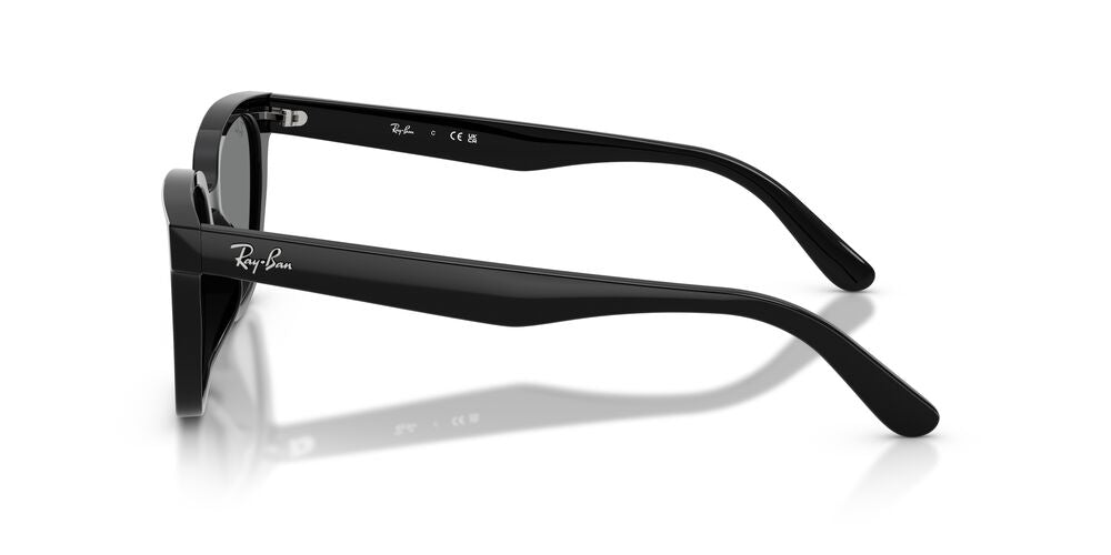 Anteojos De Sol Ray-Ban 0RB2243D Gris/Negro