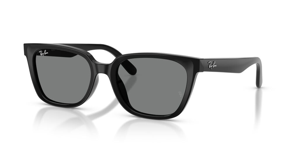 Anteojos De Sol Ray-Ban 0RB2243D Gris/Negro