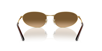 Anteojos De Sol Ray-Ban 0RB3734 Café/Dorado