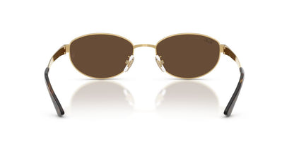 Anteojos De Sol Ray-Ban RB3774D Arista Dark Brown Café/Dorado