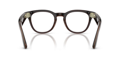 Anteojos Ópticos Ray-Ban 0RW7002 Scriber Optics Meta Café