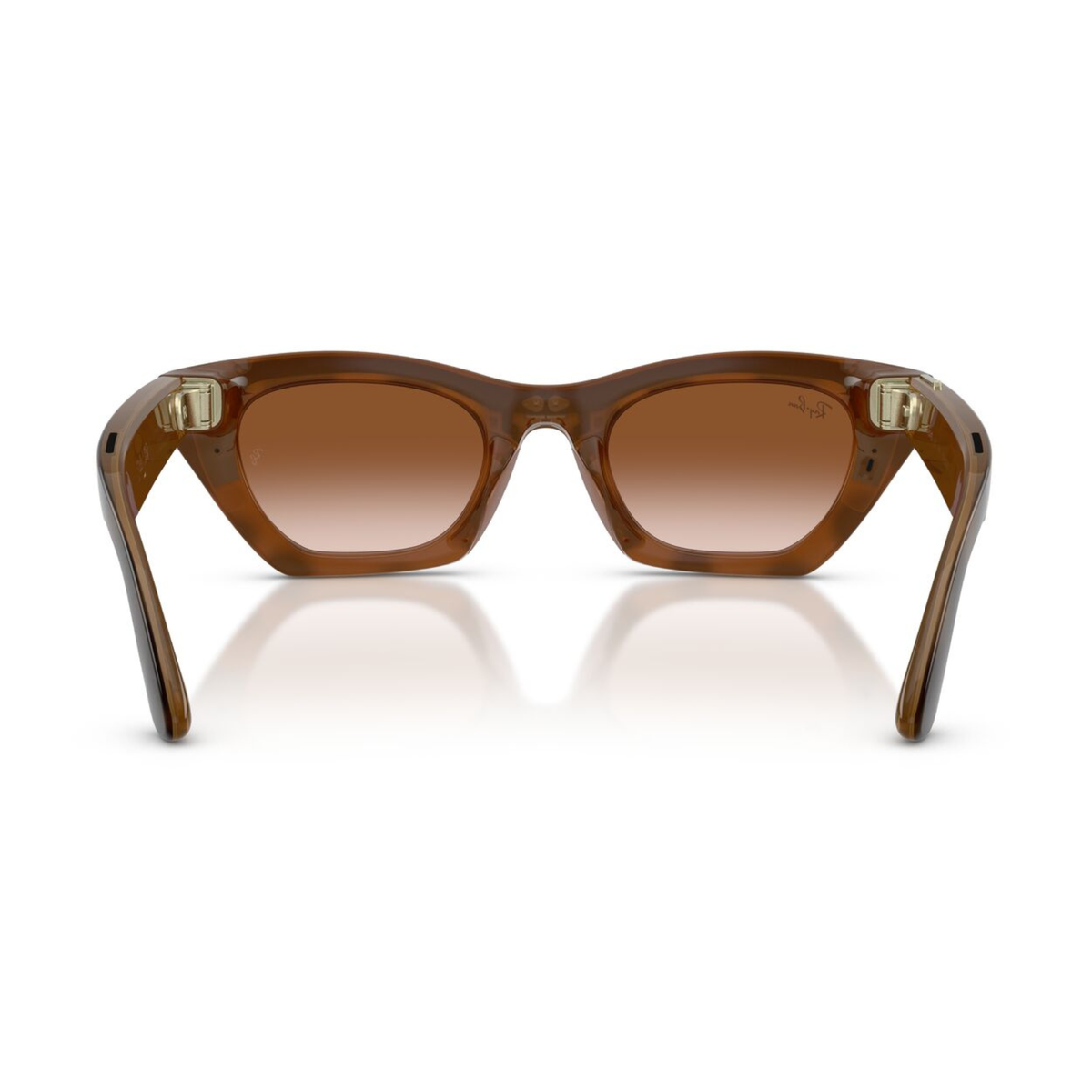 Anteojos de Sol Ray-Ban meta (Gen 3) Zena  Havana