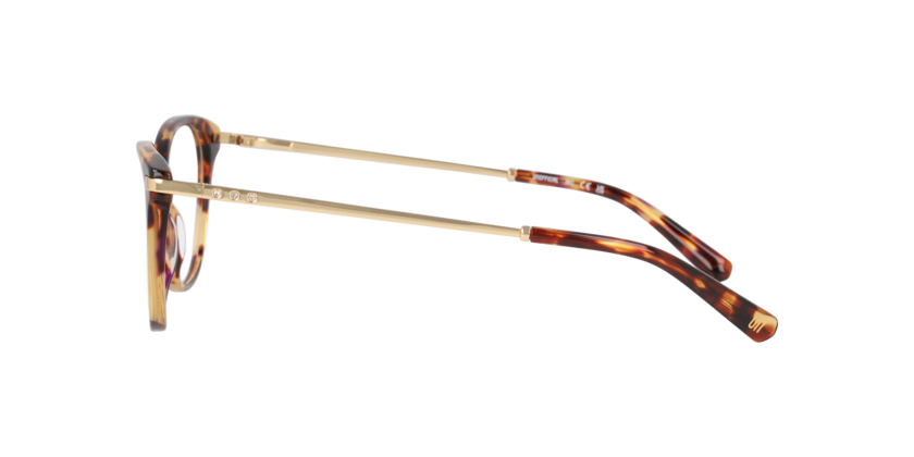 Anteojos Ópticos Unofficial UO2219B Brown Havana With Purple Havana