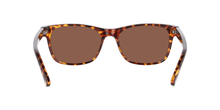 Anteojos De Sol Seen NE6078 Havana Brown Café/Havana