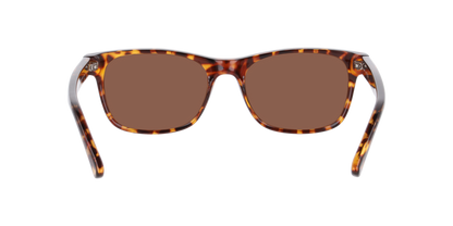 Anteojos De Sol Seen NE6078 Havana Brown Café/Havana