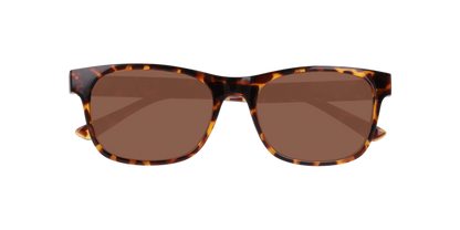 Anteojos De Sol Seen NE6078 Havana Brown Café/Havana
