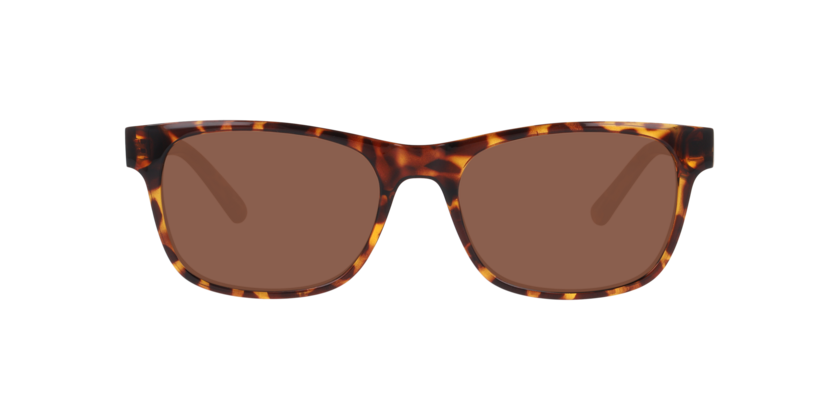 Anteojos De Sol Seen NE6078 Havana Brown Café/Havana