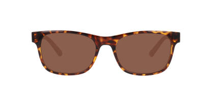 Anteojos De Sol Seen NE6078 Havana Brown Café/Havana