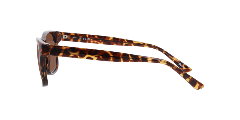 Anteojos De Sol Seen NE6078 Havana Brown Café/Havana