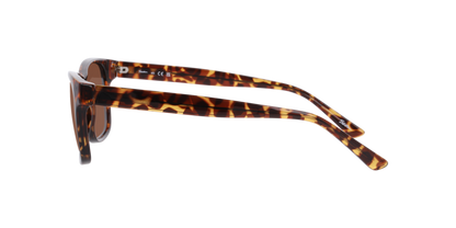 Anteojos De Sol Seen NE6078 Havana Brown Café/Havana