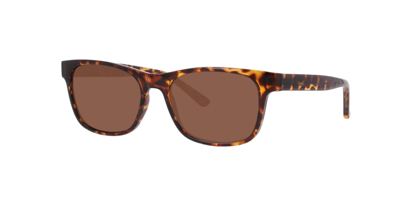 Anteojos De Sol Seen NE6078 Havana Brown Café/Havana