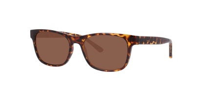 Anteojos De Sol Seen NE6078 Havana Brown Café/Havana