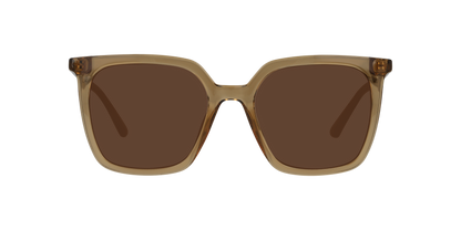 Anteojos De Sol Seen NE6076 Café/Café