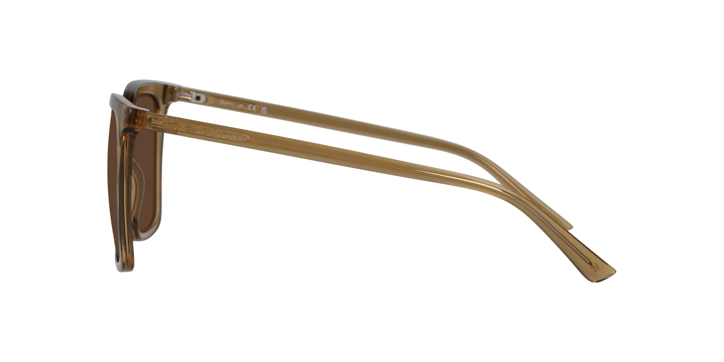 Anteojos De Sol Seen NE6076 Café/Café