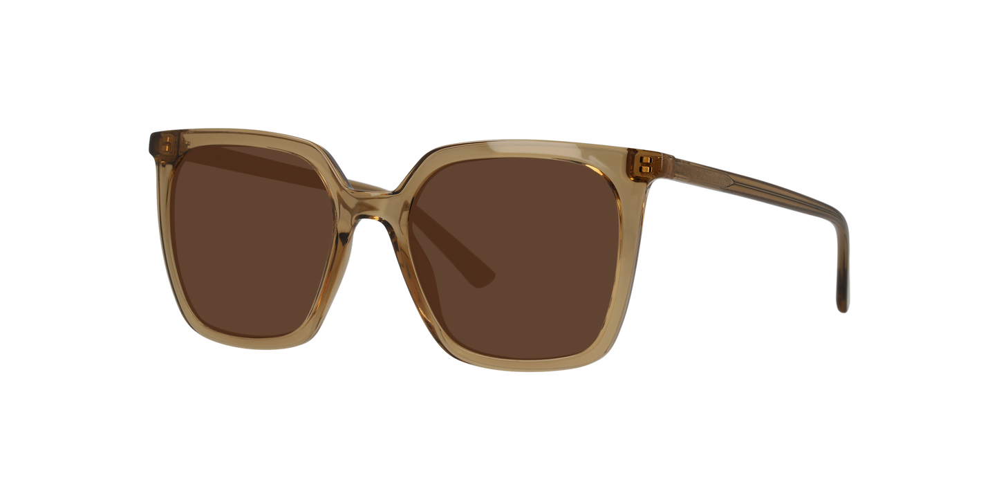 Anteojos De Sol Seen NE6076 Café/Café