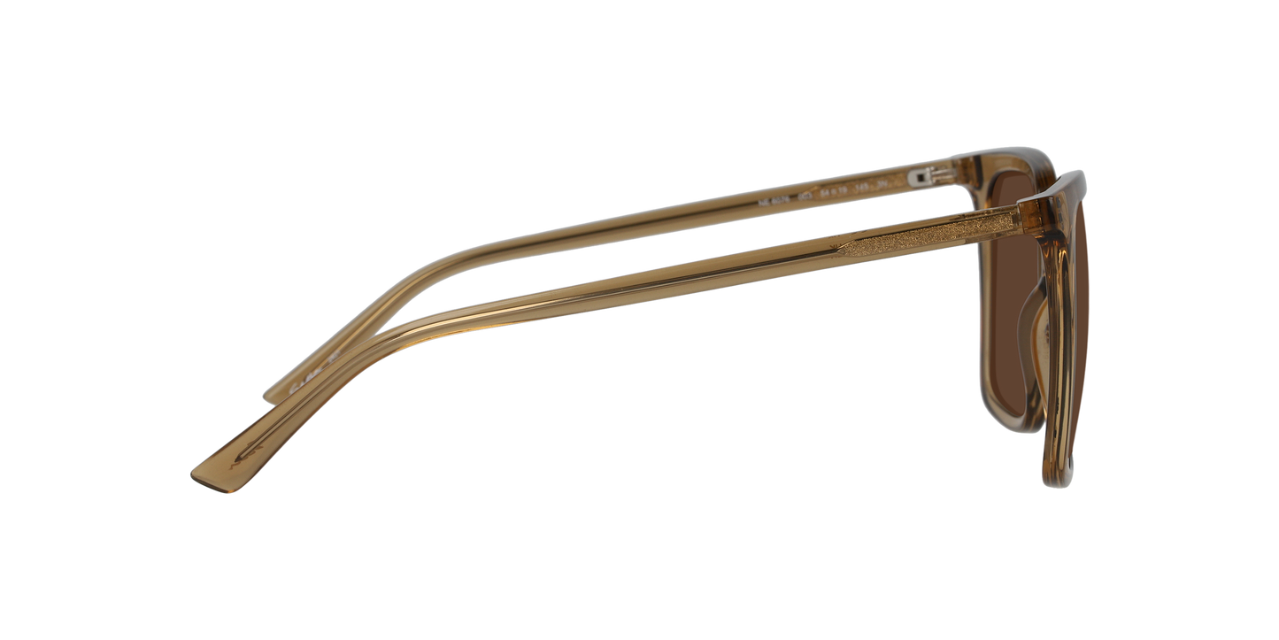 Anteojos De Sol Seen NE6076 Café/Café